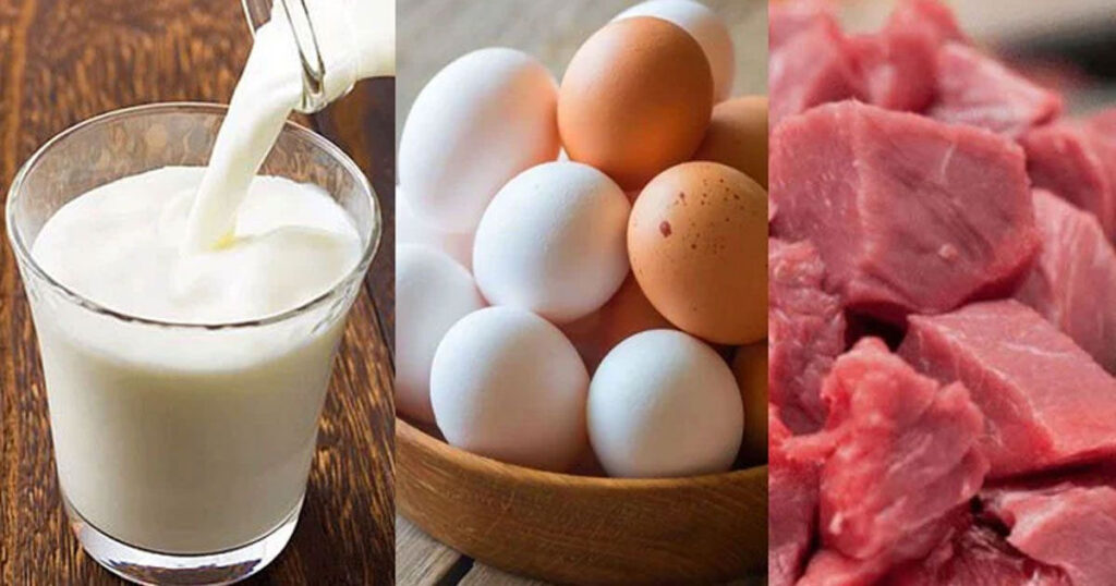 Untitled-1-20260203071849